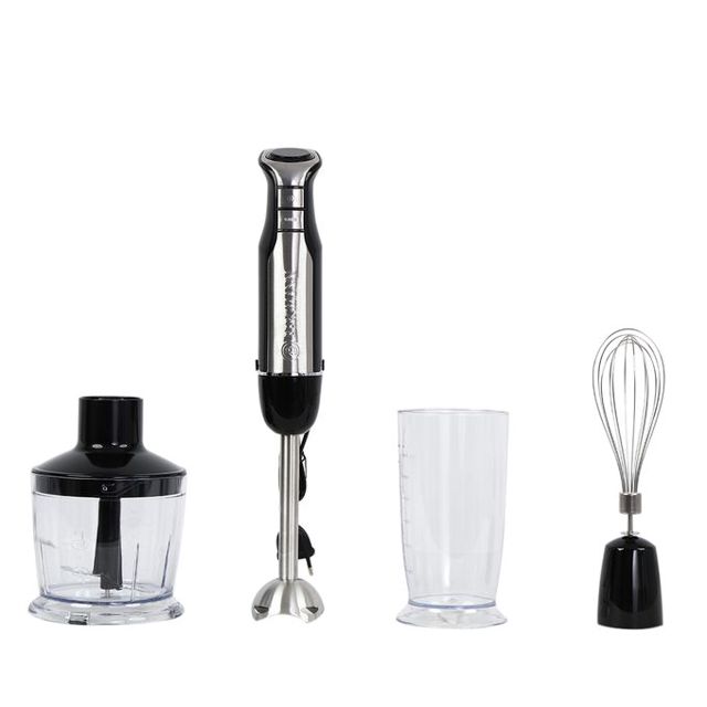 Bergmann Mixeur Plongeur Silver Chef Hb3042