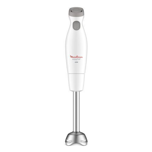 Moulinex Mixeur Plongeant Easychef Dd452110 Blanc