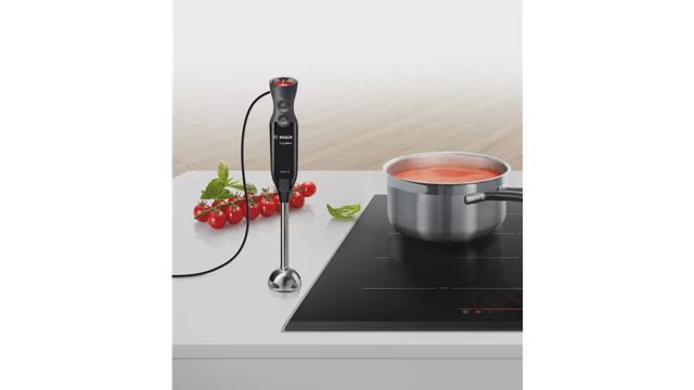 Bosch ErgoMixx Mixeur plongeant MS61B6150