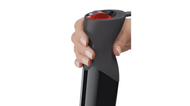 Bosch ErgoMixx Mixeur plongeant MS61B6150