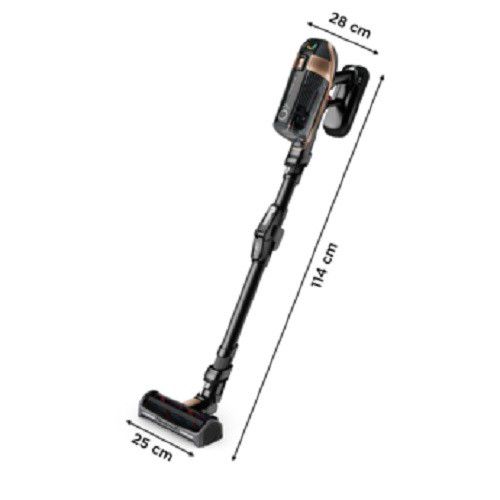 Rowenta aspirateur x-force flex 15.60 RH99F1WO