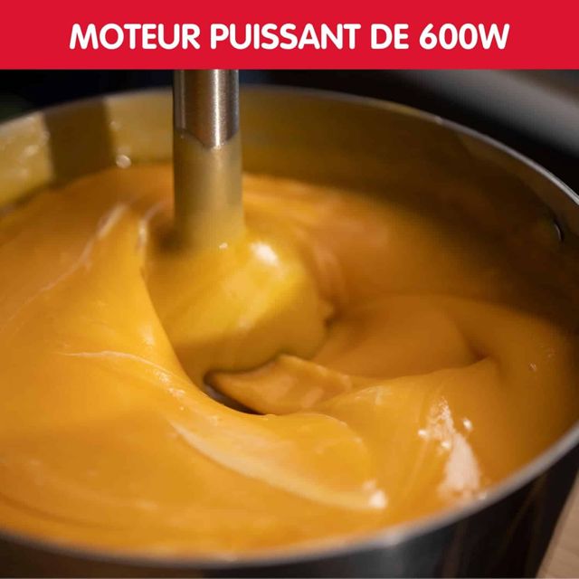 Moulinex pied mixeur 600W DD46E810