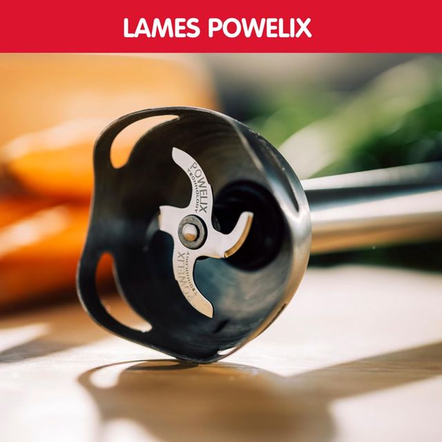 Moulinex pied mixeur 600W DD46E810
