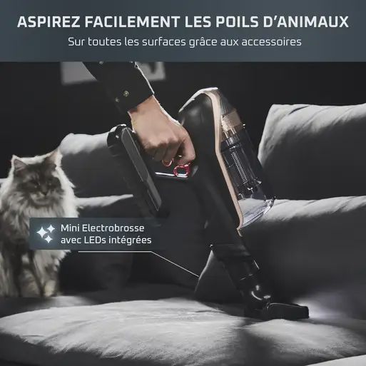 Aspirateur sans fil Rowenta x force 15.60 Kit animal